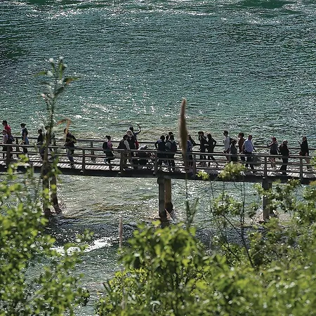 Amazing In With Wifi *