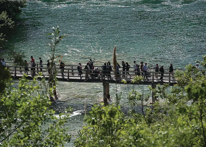 Amazing In With Wifi *